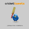 CricketTweets