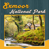Exmoor National Park Tourism Guide