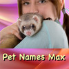 Pet Names Max