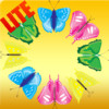 Butterfly Touch Lite