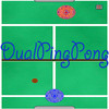 PingPongDual