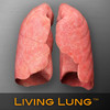 Living Lung - Lung Viewer