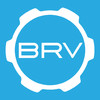 BRV-BANK Remote Battery Monitor
