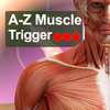 A-Z: Muscle Trigger Points