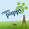 Euro Puppy