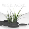Wise Acre
