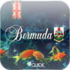 ifGuide Bermuda