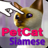 Siamese Petting cat 3D REAL