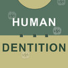 Human Dentition Flash Cards
