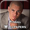 Pitbull Wallpapers