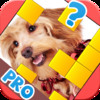 Pic Guesser Pro - Word Game for iPad