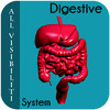 All Visibiliti Digestive System