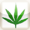 Marijuana App (for Medicinal purposes)