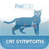 Cat Symptoms