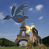 Paris - Pigeons