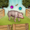Pig vaccination game