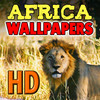 Africa Wallpapers HD