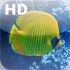 Salt Water Fish HD