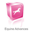 Advanced Equine Reproductive Ultrasound