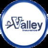 Valley Insurance Group Inc - Poland