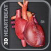 3D Heartbeat Animation St
