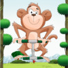 Monkey Plunge : Catch the Fruit