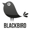 Blackbird Magazin