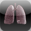 Grade 12 Biology: The Respiratory System