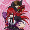 Wallpapers for High School DxD
