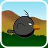 Flappy Crow - The Adventure of a Flying crow