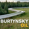 Burtynsky: Oil