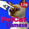 Siamese Petting cat 3D REAL Lite