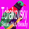 Tchaikovsky Swan/Nut/Beauty musictach