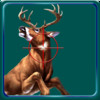 Deer Hunting Calls