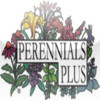 Perennials Plus
