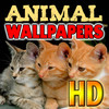 Animals Around The World Wallpapers HD