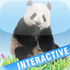 Animals’ world - Pictures of animals in high definitiion, sounds and interactive features
