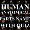 Human Anatomical Parts Name With Quiz V3.1