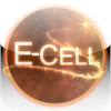 E Cell