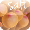 salt magazine