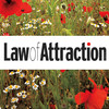 Law of Attraction Magazine 2012