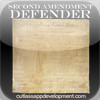 2nd Amendment Defender