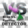 Bras Vs. Panties: Bra and Panty Detector