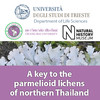 A key to the parmelioid lichens of northern Thailand