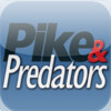 Pike and Predators Magazine