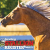 Barrel Horse News Stallion Register for iPhone