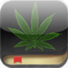 Marijuana Handbook HD