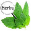 Herbs and Medicinal Properties Reference Guide