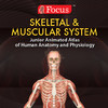 Muscular & Skeletal System - Jr. Animated Atlas series