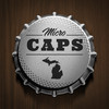 Michigan Micro Caps